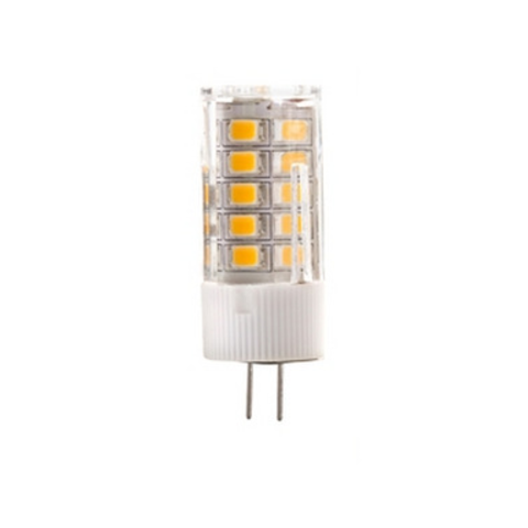 LED Bulb Path Light G4-2
